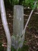 DSC00208.jpg