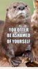 eca9371488ca7d1cd99478078594ae68--funny-things-funny-stuff.jpg