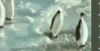 stream_88945910.gif