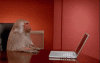 giphy (10).gif
