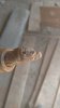 IMG_20170926_133434519.jpg