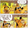 IMG_7653.PNG