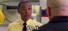 IMG_2940.GIF