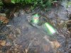 20171009_160101.jpg