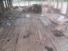 20171011_153624.jpg