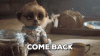 giphy (32).gif