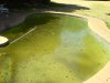 dsc01278or0.jpg