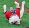 99_uga_upside_down.jpg