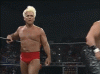 giphy (14).gif