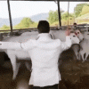 ezgif-4-d38344905a.gif