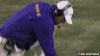 leseats.0.gif