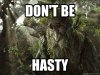 tree beard.jpg