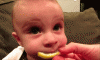 babylemon.gif