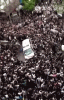 210414am.gif
