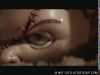 C68F9202-9658-43D8-8990-7EBD2DE8E1E7.gif