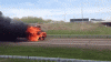 UntriedDeepFairyfly-max-1mb.gif