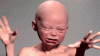 giphy-11.gif