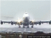 giphy (21).gif