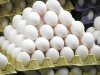 04-zs-surplus_eggs_271-ab.jpg