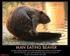 BEAVER.jpg