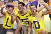 lsu volnation 7.jpg