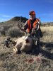 2017 Mule Deer.jpg