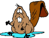 animal-graphics-beaver-860750.gif