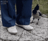 200w.gif