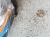 20171125_144526.jpg