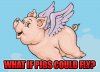 pigs.jpg