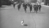 1326E303-A5D3-4A57-A8C5-B8230F79FC52.gif