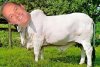 20171129_131019.jpg