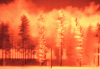 tumblr_mjgn0tjfJx1qca6wyo8_250.gif