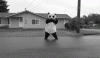 6ADD8AA7-5213-4A4C-9159-B81DAF080C80.gif