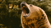 6FBFE68C-30A4-4C69-BAF4-451F9A35563E.gif
