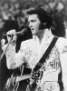 tmp_k7ktFt_7049ed242d13fb7f_elvis.jpg