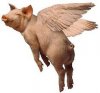 flyingpig.jpeg