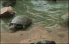 1D1E55A6-9518-4E4B-9A51-0FCDB2C29916.gif