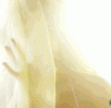 8679F4B8-88EF-492A-AB50-CEBC9F614F3F.gif