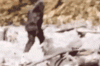 4D358887-78C8-42B4-9D5B-84CA63DD4A4F.gif