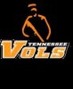 vol logo.JPG