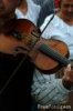 fiddle.jpg