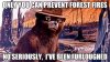 smokey-the-bear-furloughed-56a753f25f9b58b7d0e93787.jpg