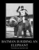 batman_is_riding_an_elephant_by_crazybeanie-d56le1b.jpg