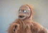 tenor (6).gif
