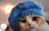 pussy-hat-1484929467.jpg