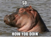so-how-you-doin-4410453.png