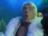 ric.gif