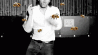 1533177345999.gif
