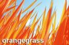 grass copy.jpg